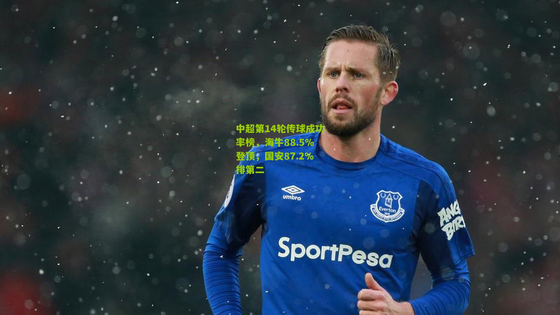 中超第14轮传球成功率榜,海牛88.5%登顶,国安87.2%排第二