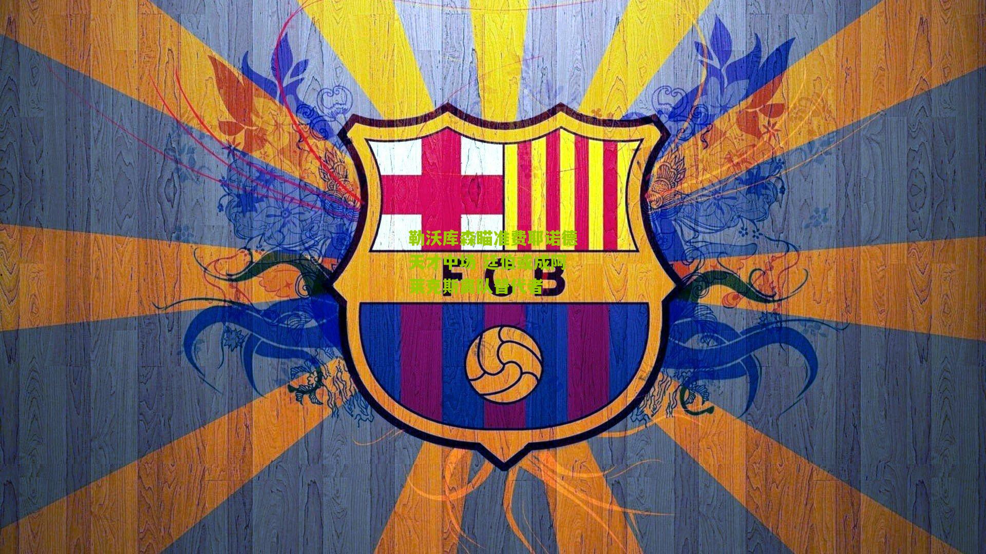 勒沃库森瞄准费耶诺德天才中场 廷伯或成阿莱克斯离队替代者