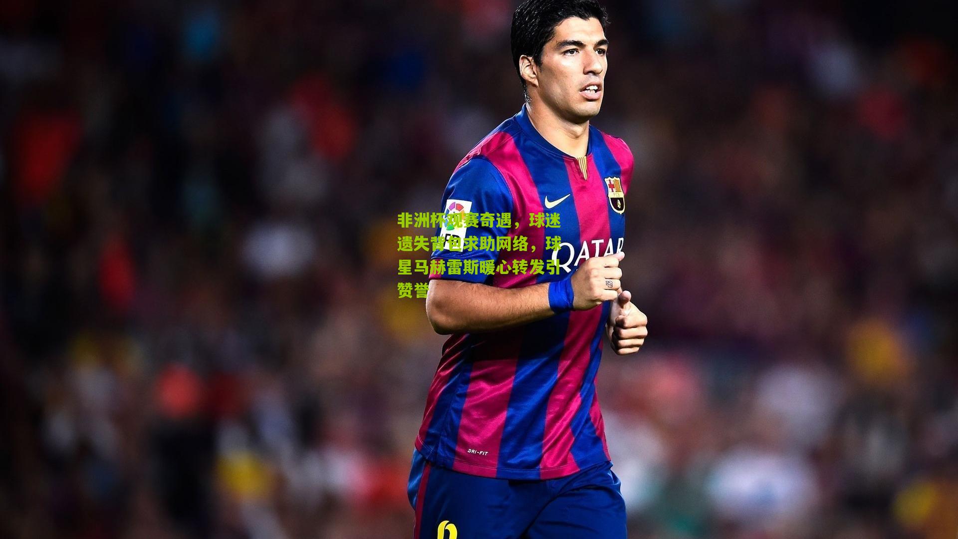 非洲杯观赛奇遇,球迷遗失背包求助网络,球星马赫雷斯暖心转发引赞誉